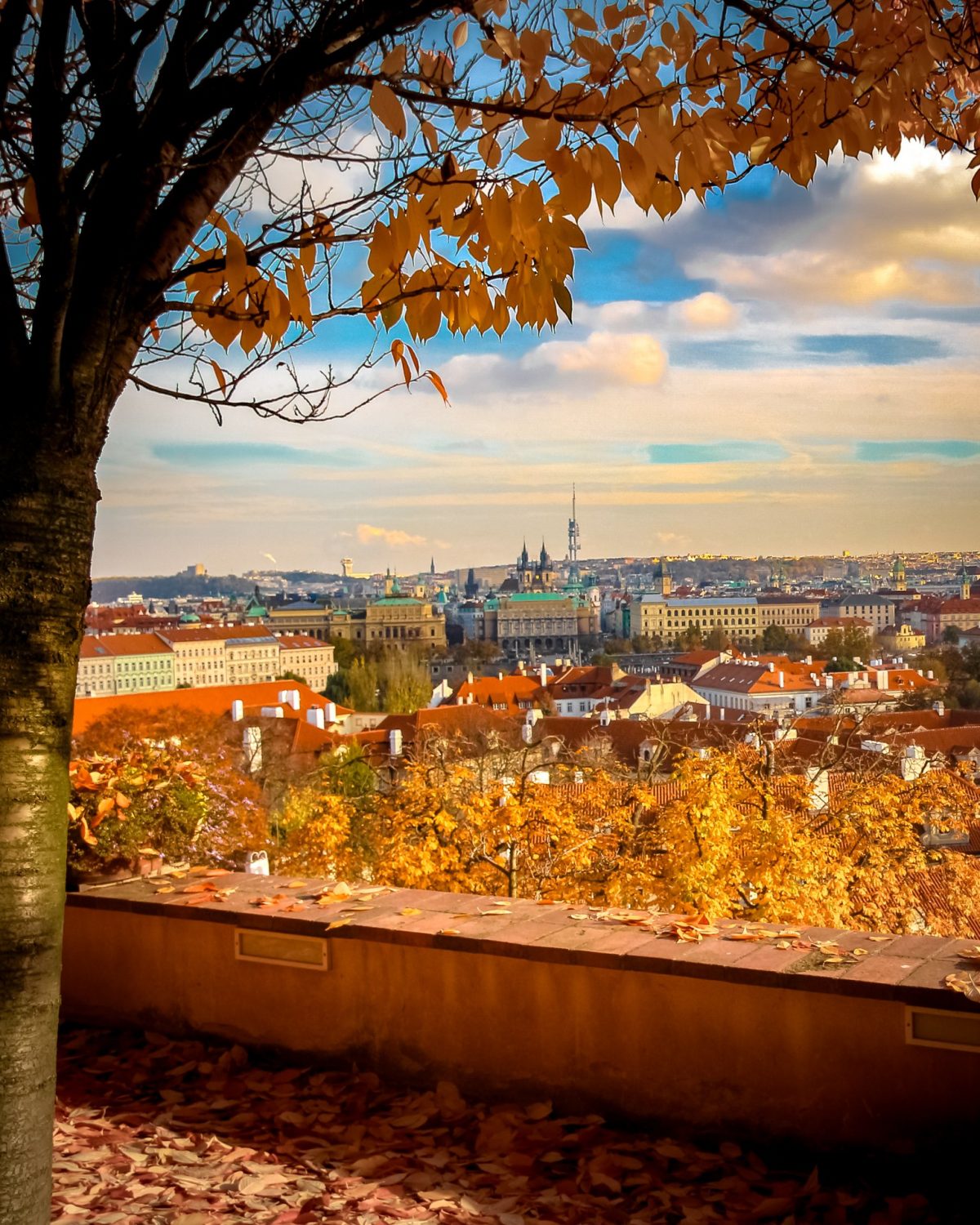 View of the city from Prague Castle, Castle Gardens